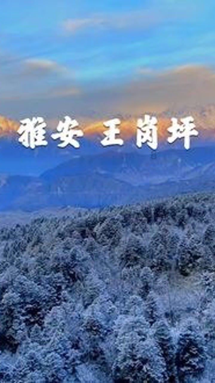 银川市生态环境局团支部召开团员和青年主题教育专题组织生活会